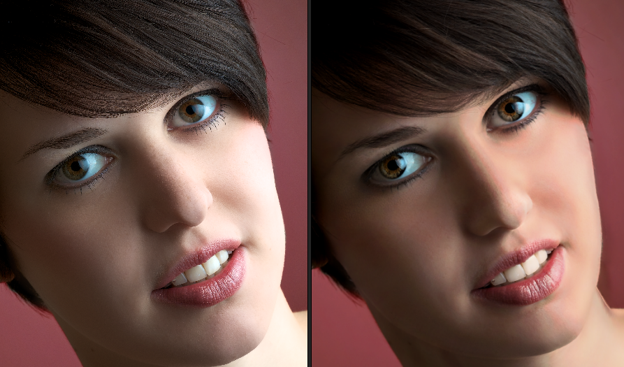 Portrait Professional 12