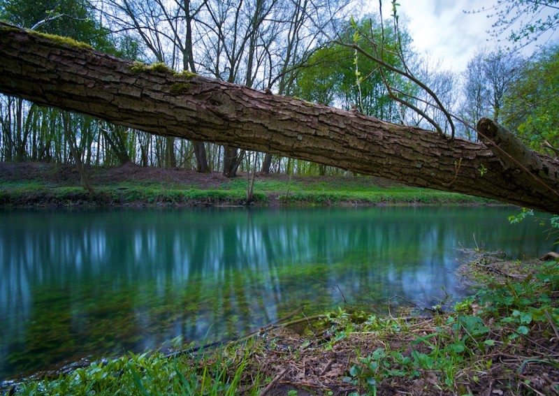 Wettbewerb: Freunde der Pader