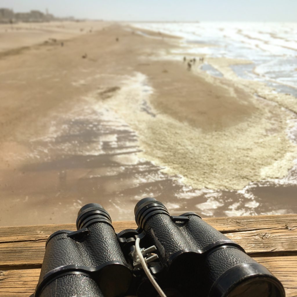 DenHaag-Strand